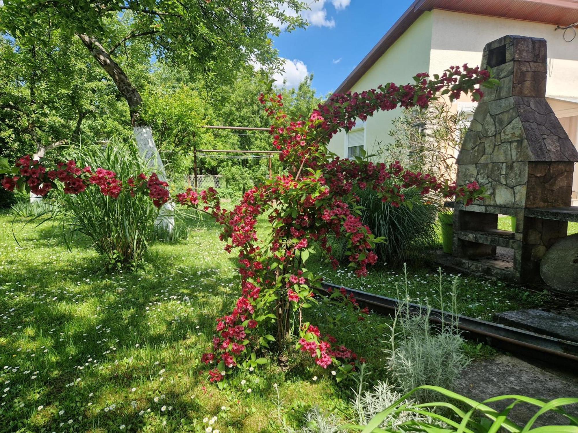Studio Apartman Marica - Ogulin, Hrvatska ภายนอก รูปภาพ
