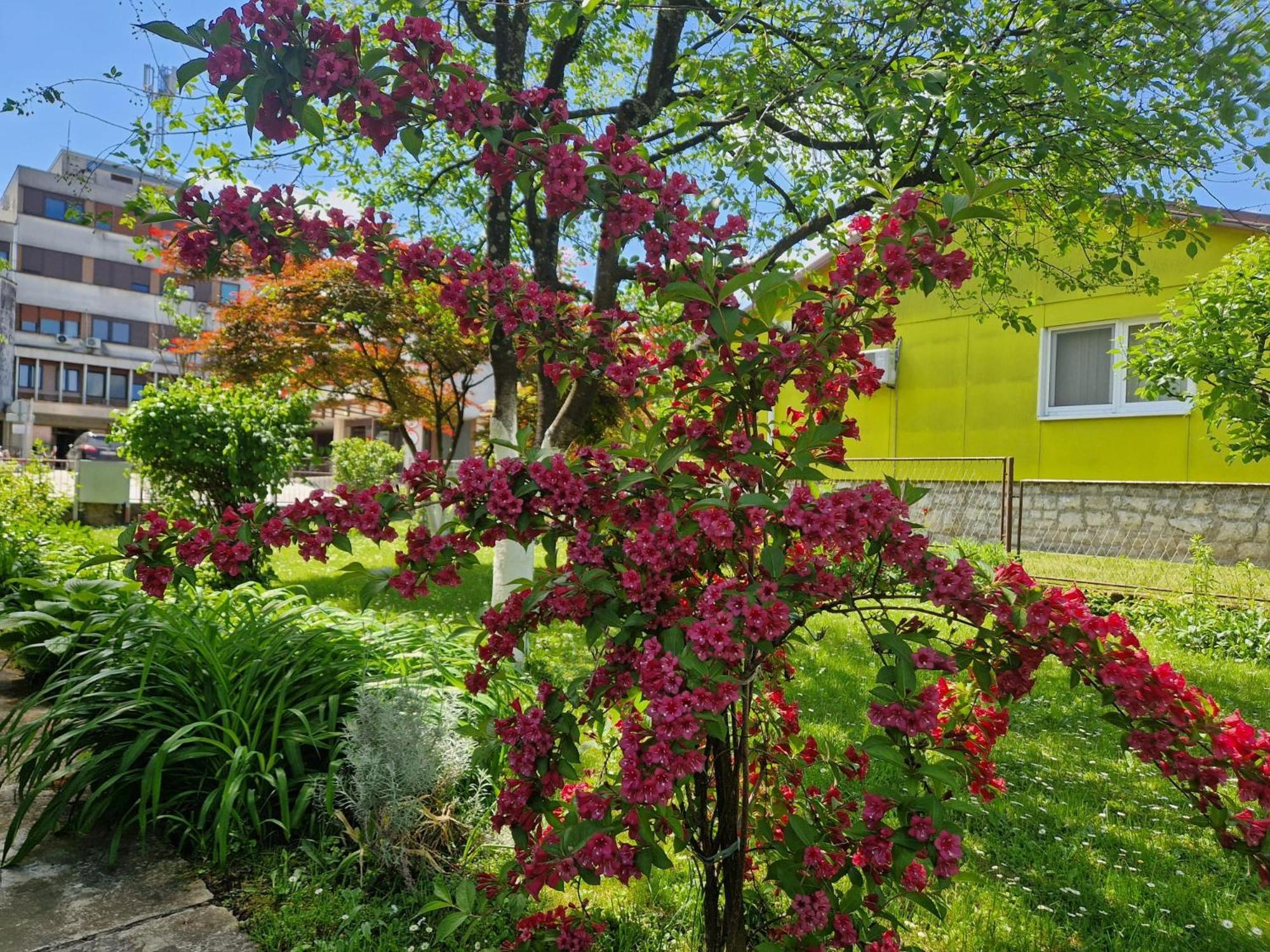 Studio Apartman Marica - Ogulin, Hrvatska ภายนอก รูปภาพ